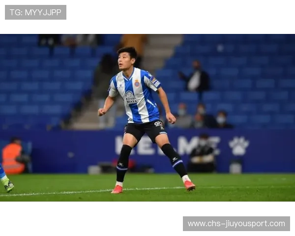 新西兰七人制橄榄球未来发展备受关注，新西兰 橄榄球队